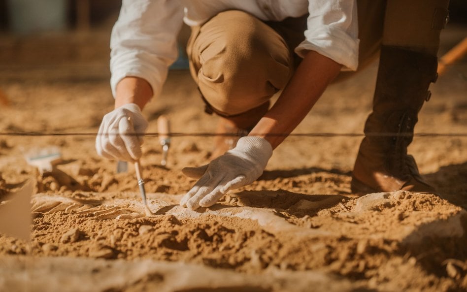Archeolodzy ponownie zbadali skamieniałe szczątki sprzed ok. 140 tys. lat i doszli do zaskakujących 