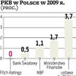 Fitch Ratings ocenia, że w tym roku PKB Polski się nie zwiększy