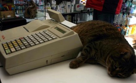 Nie wszystkie kasy trzeba montować od razu