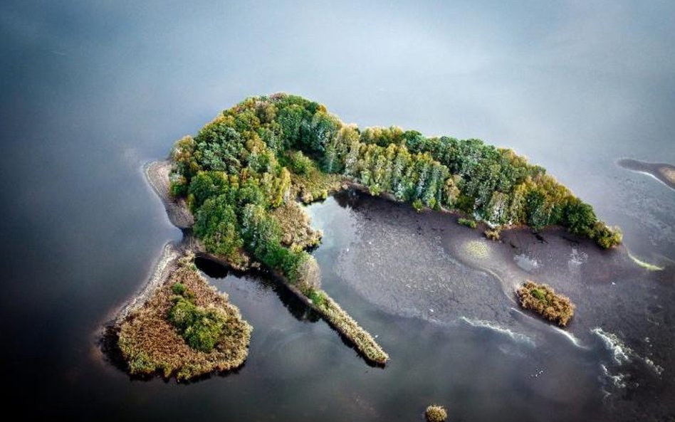 Podczas prac renowacyjnych na Stawach Milickich m.in. usypano sztuczne wyspy
