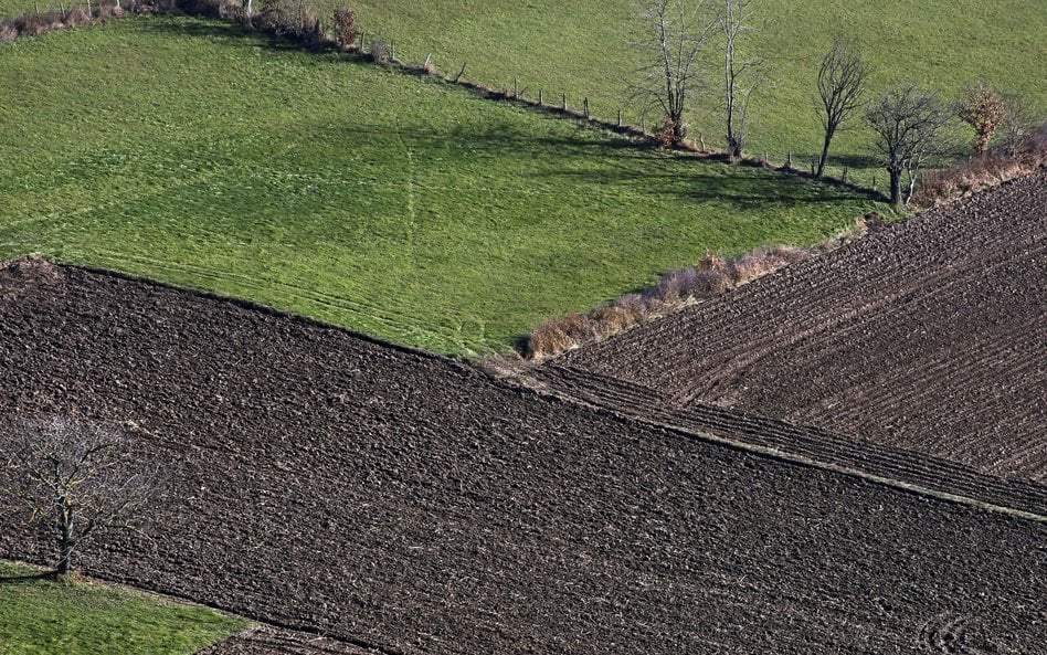 SN: wyodrębniona działka rolna poniżej 0,3 ha może być przedmiotem obrotu