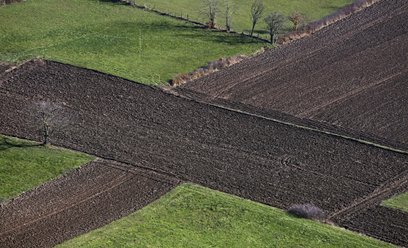 Rząd za deregulacją w obrocie ziemią rolną. Co się zmieni dla firm?