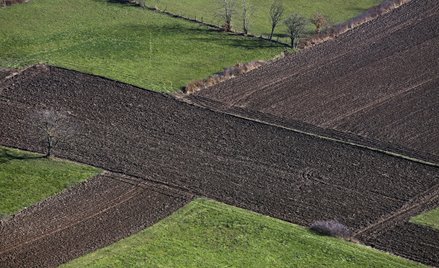 Rząd podjął decyzję w sprawie zakazu sprzedaży ziemi rolnej