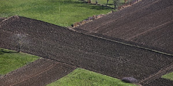 Rząd chce przedłużyć zakaz sprzedaży państwowej ziemi o 10 lat