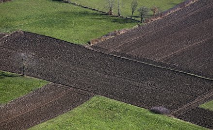 Możliwa zamiana nieruchomości w transakcji wiązanej z gminą