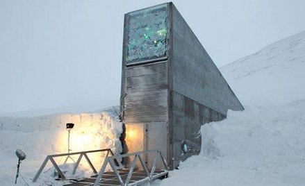 Globalny Bank Roślin ukryty jest głęboko w skale poza kręgiem polarnym