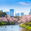 Tokio, Japonia