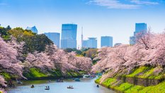 Tokio, Japonia