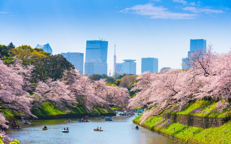 Tokio, Japonia