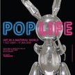 Pop Life: Art in a Material World