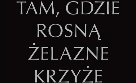 „Tam, gdzie rosną Żelazne Krzyże. Krym 1941–1944”, Robert Forczyk, tłum. Jan Szkudliński, Dom Wydawn