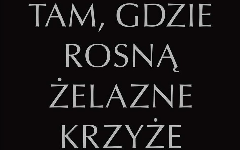 „Tam, gdzie rosną Żelazne Krzyże. Krym 1941–1944”, Robert Forczyk, tłum. Jan Szkudliński, Dom Wydawn