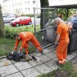 Śmieciarze "pod muchą" wyglądają na szczęśliwszych