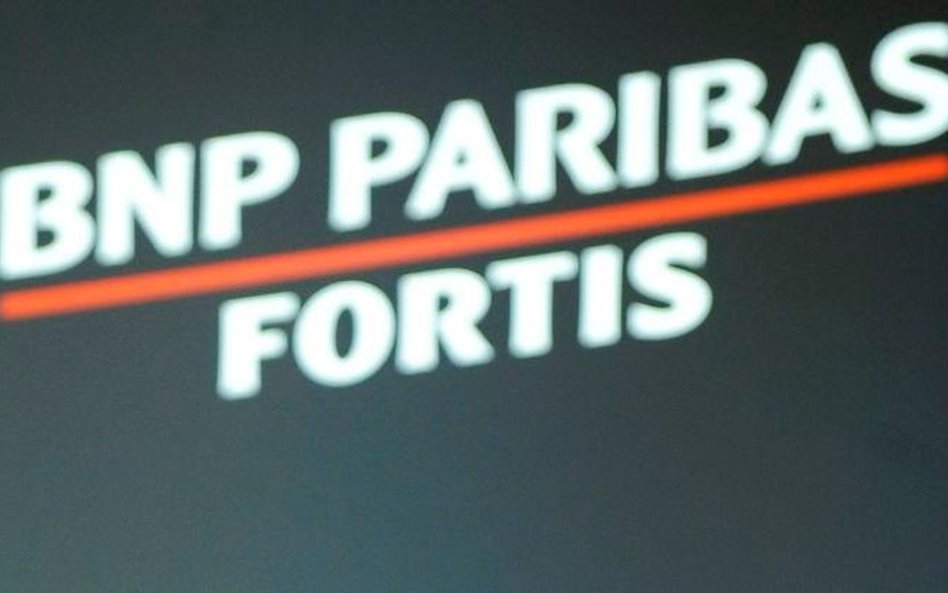 Fortis Bank stawia na rozbudowę sieci w Polsce