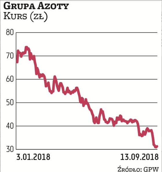 Grupa Azoty jest jedną z najmocniej przecenionych średniej wielkości spółek w tym roku (53 proc.). T