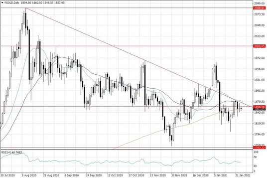 Notowania złota – dane dzienne