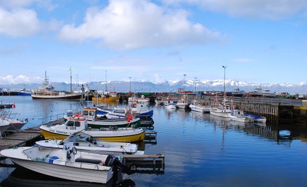 Auto wpadło do wody. Polska rodzina zginęła na Islandii