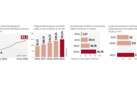 Użytkownicy Netfliksa i rynek internetowych serwisów wideo