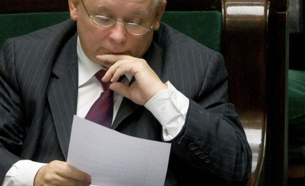 Dąbrowska o opozycji: Białego konia tanio kupię