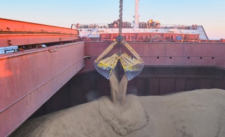 W portach w lipcu było 65 proc. mniej zboża niż rok temu