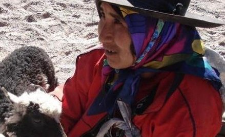 Nowe Kino Argentyńskie