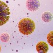 Naukowcy z PAN będą tworzyć rekomendacje w związku z epidemią Covid-19