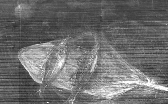 i promieniach rentgenowskich