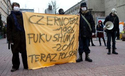 SLD i Zieloni chcą referendum w sprawie elektrowni atomowych