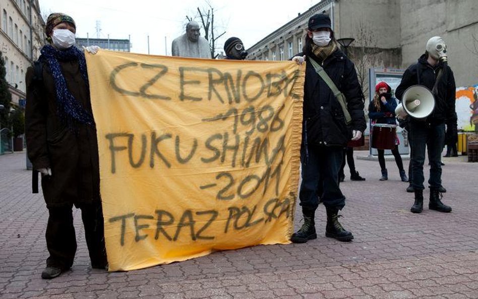SLD i Zieloni chcą referendum w sprawie elektrowni atomowych