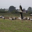 Jak załatwić zasiedzenie po rodzicach, którzy już nie żyją