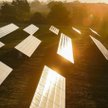 Gdańsk. Jedna z dwóch farm fotowoltaicznych Energi