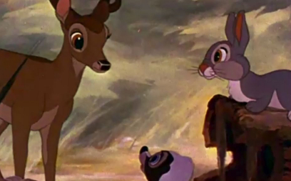 Wyrok dla kłusownika: Ma oglądać film "Bambi"