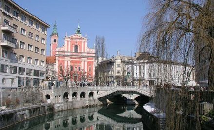 Lublana utrzyma większość w Nova KBM