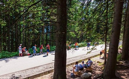 W Tatrzańskim Parku Narodowy powstaną ścieżki typu single track o szerokości do 1,5 metra.