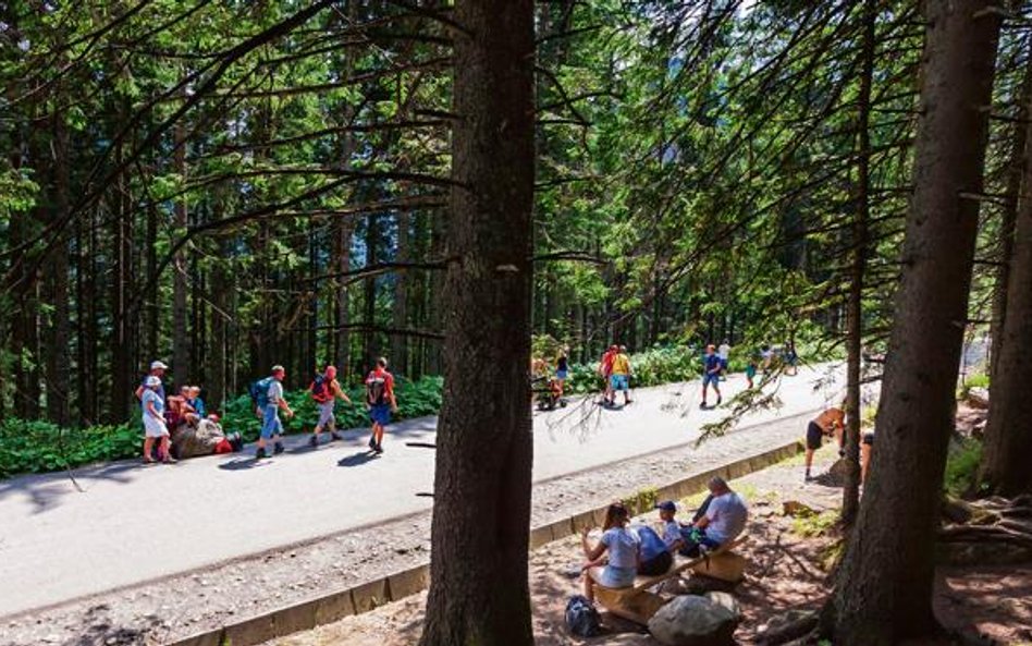 W Tatrzańskim Parku Narodowy powstaną ścieżki typu single track o szerokości do 1,5 metra.