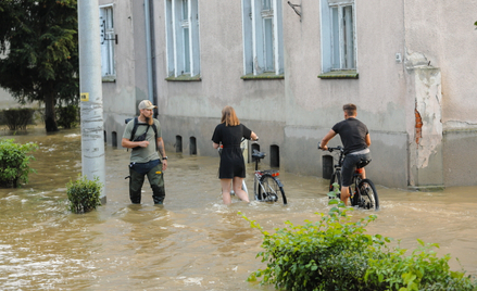 Dynamiczna sytuacja powodziowa. Sytuacja po powodzi w Lewinie Brzeskim w woj. opolskim, 19 września 