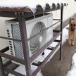 Pozew grupowy oszukanych na pompy ciepła. Sąd wydał zabezpieczenie
