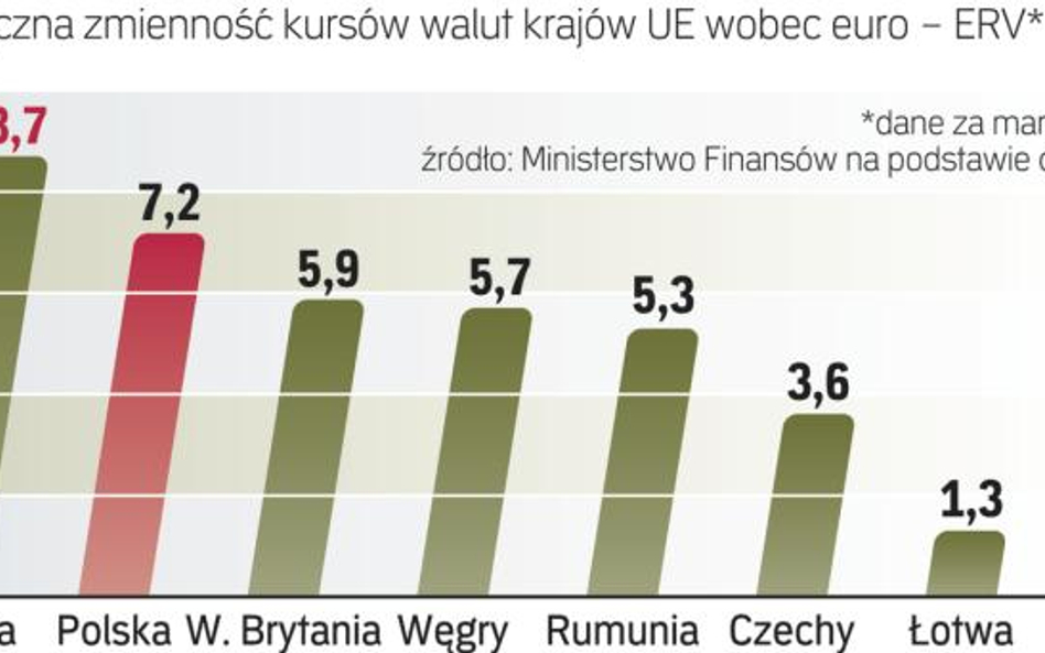 Duża zmienność nie znika z rynku walutowego