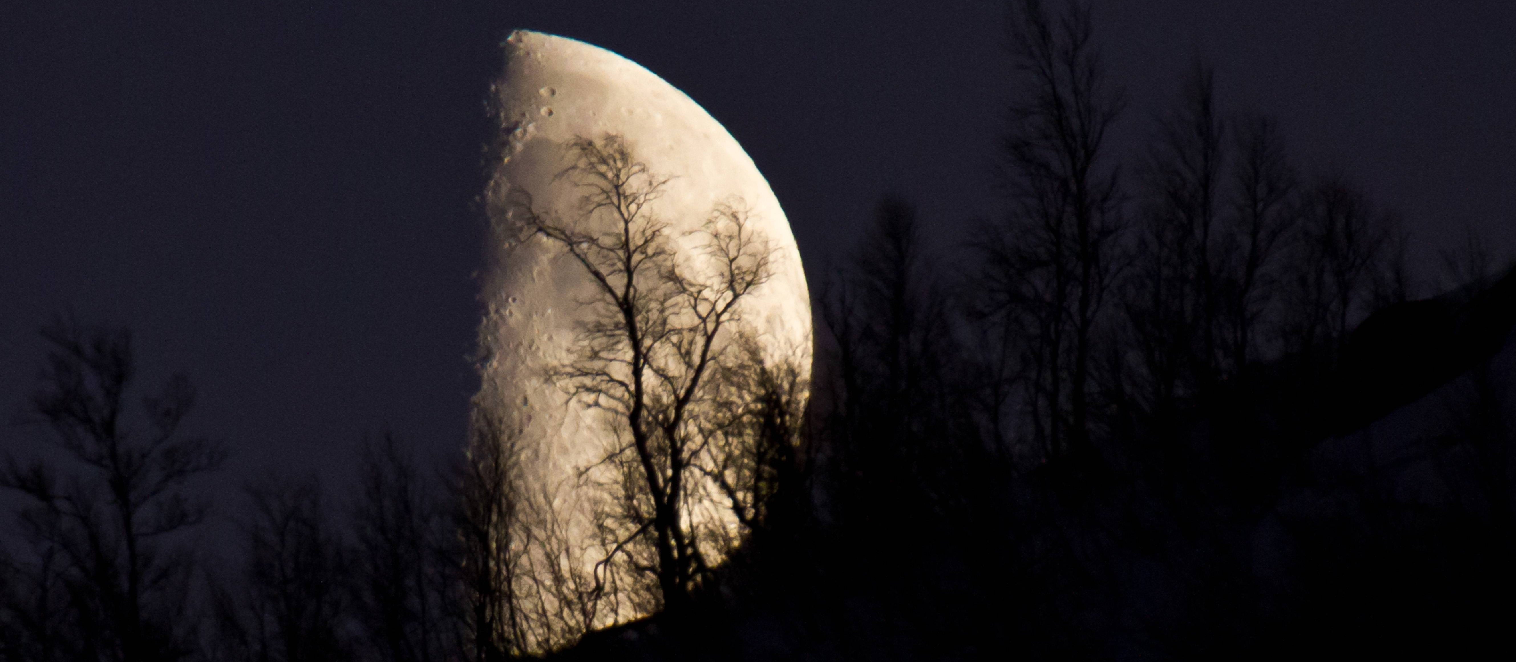 Noctourism, czyli nocna turystyka w Norwegii. „Zobacz, jak wygląda prawdziwa ciemność”