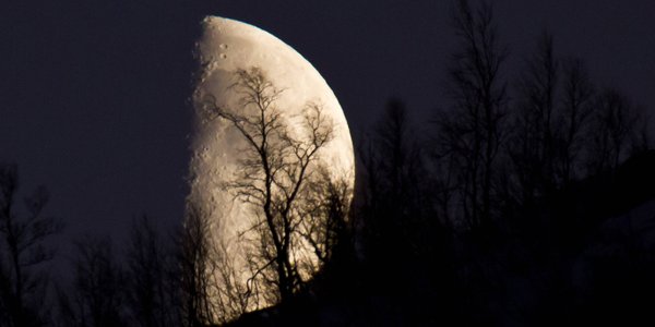 Noctourism, czyli nocna turystyka. „Zobacz, jak wygląda prawdziwa ciemność”