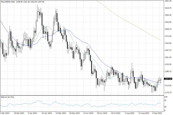 Notowania palladu – dane dzienne