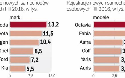 Liderem polskiego rynku nowych aut jest Skoda