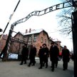 Apel władz Muzeum i jego międzynarodowej rady o pomoc świat usłyszał. Rząd Wielkiej Brytanii ogłosił