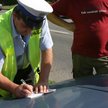 Zawodowy kierowca sam płaci mandaty