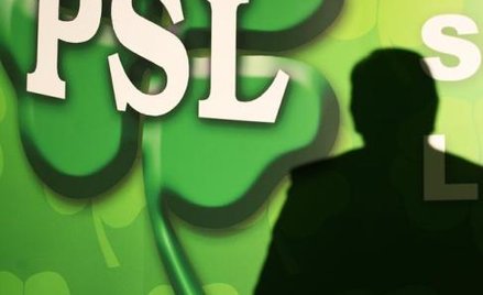 PSL szykuje bat na banki