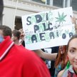 W Polsce powstaną kluby konopne? "Ten, kto podniesie rękę przeciw temu projektowi wspiera polską maf