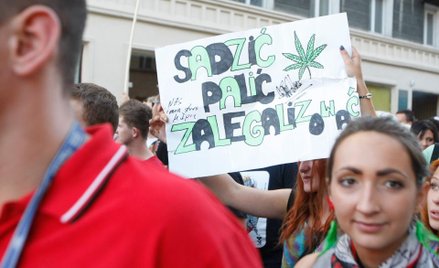 W Polsce powstaną kluby konopne? "Ten, kto podniesie rękę przeciw temu projektowi wspiera polską maf