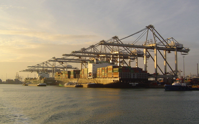 Port w Rotterdamie, terminal kontenerowy Amazonehaven