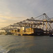 Port w Rotterdamie, terminal kontenerowy Amazonehaven