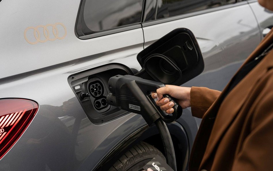 Auta elektryczne z coraz większym udziałem w globalnym rynku